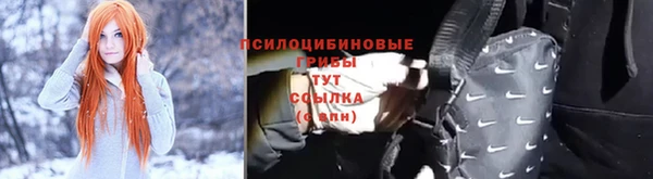 PSILOCYBIN Сатка