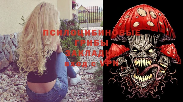 МДПВ Зуевка