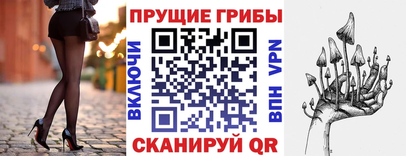 Галлюциногенные грибы Psilocybine cubensis  Котельнич 